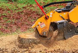 Leaf Removal Services in Cape Girardeau, MO